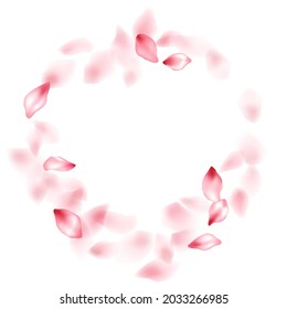 Pink peach flower flying petals isolated on white. Tender beauty salon background. Japanese sakura petals seasonal confetti, blossom elements flying. Falling cherry bloom flower parts design.
