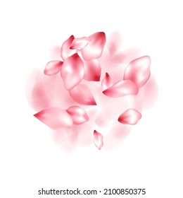 Pink peach flower flying petals isolated on white. Delicate floral background. Japanese sakura petals seasonal confetti, blossom elements flying. Falling cherry bloom flower parts vector.