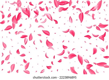 Pink Peach Flying Vector White Background. Fly Petal Illustration. Beautiful Floral Japan Design. Delicate Flower Fall Cover.