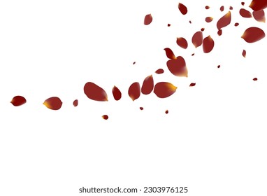 rosafarbene Pfirsich Japan, Vektorweißer Hintergrund. Schönheitssalon-Vorlage. Burgund Sakura Fliegenrahmen. Schönes Lotus Fall Design.
