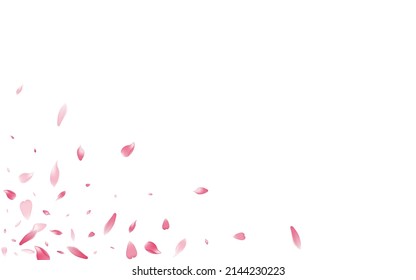 Pink Peach Petal Vector White Background. Pastel Beauty Lotus Petal Frame. Sakura Petal Dream Cover. Falling Rose Petal Card.