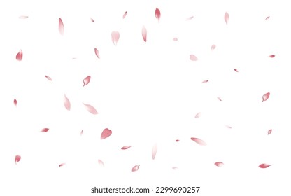 Pink Peach Petal Vector White Background. Color Fall Apple Petal Poster. Rose Petal Blossom Backdrop. Soft Lotus Petal Product.