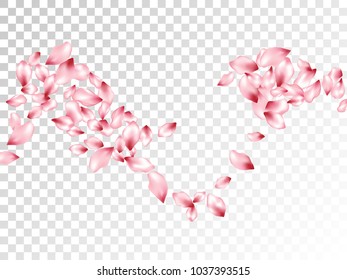 Pink peach petals flying vector invitation background. Spring falling flower parts confetti, blossom elements seasonal design. Springtime flower blossom petals vector poster background.