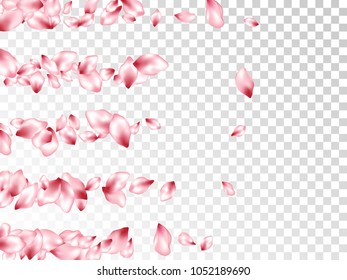 Pink peach petals flying vector beauty salon background. Spring falling flower parts confetti, blossom elements anniversary design. Creative flower blossom petals card background.