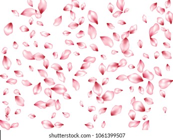 Pink peach petals flying vector fashionable background. Spring falling flower parts confetti, blossom elements anniversary design. Cute flower blossom petals banner vector background.