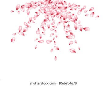 Pink peach petals flying vector valentine background. Spring falling flower parts confetti, blossom elements valentine design. Soft flower blossom petals background pattern.