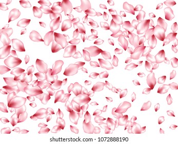 Pink peach petals flying vector invitation background. Spring falling flower parts confetti, blossom elements april design. Fresh flower blossom petals card vector background.