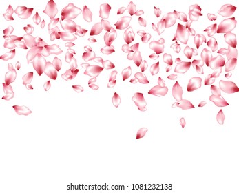 Pink peach petals flying vector invitation background. Spring falling flower parts confetti, blossom elements graphic design. Fresh flower blossom petals background vector.