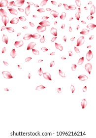 Pink peach petals flying vector invitation background. Spring falling flower parts confetti, blossom elements floral design. Abstract flower blossom petals background pattern.