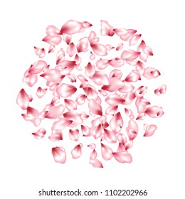 Pink peach petals flying vector beauty salon background. Spring falling flower parts confetti, blossom elements celebration design. Gentle flower blossom petals banner vector background.