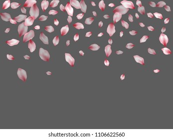 Pink peach petals flying vector valentine background. Spring falling flower parts confetti, blossom elements celebration design. Trendy flower blossom petals vector poster background.