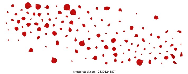 Pink Peach Spring Vector Panoramic White Background. Flying Blossom Pattern. Red Rose Falling Poster. Beautiful Petal Fly Backdrop.