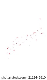 Pink Peach Spring Vector White Background. Tender Cherry Wallpaper. Red Lotus Beauty Frame. Beautiful Sakura Falling Template.