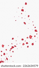 Pink Peach Summer Vector Transparent Background. Fly Blossom Pattern. Beautiful Petal Japan Poster. Delicate Cherry Fall Texture.