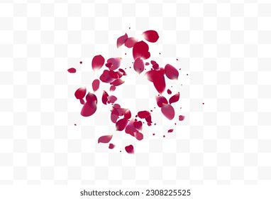 Pink Peach Summer Vector Transparent Background. Fly Flower Pattern. Purple Sakura Falling Cover. Beautiful Floral Japan Backdrop.