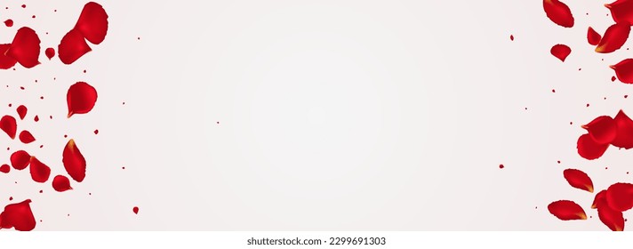 Pink Peach Tender Vector Panoramic White Background. Beauty Blossom Cover. Beautiful Petal Summer Template. Red Cherry Fall Frame.