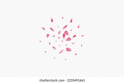 Pink Peach Vector Transparent Background. Confetti Sky Poster. Bloom Spa Design. Flower Down Banner. Red Apple Flying Congratulation.