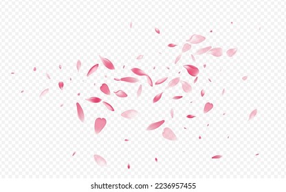 Pink Peach Vector Transparent Background. Cherry Marriage Illustration. Blooming Japanese Poster. Rosa Spring Template. White Confetti Fly Cover.