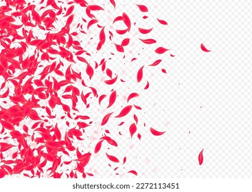 Pink Peach Vector Transparent Background. Spring Blossom Wallpaper. Red Rose Tender Poster. Beautiful Japan Petal Illustration.