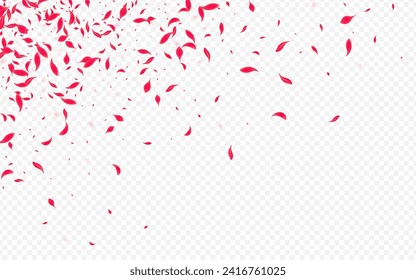 Pink Peach Vector Transparent Background. Fly Sakura Backdrop. Beautiful Floral Blur Pattern. Red Beauty Blossom Illustration.