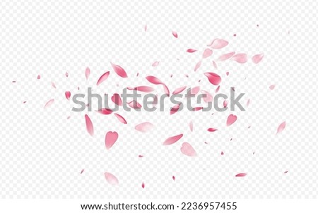 Pink Peach Vector Transparent Background. Cherry Marriage Illustration. Blooming Japanese Poster. Rosa Spring Template. White Confetti Fly Cover.