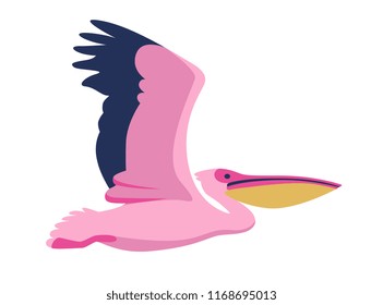 pink Pelican isolated on white background