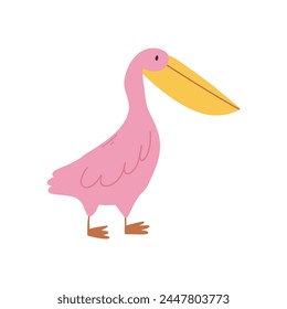 Pink pelican isolated on white background. Pelican vector illustration. Cute exotic bird.