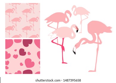 Pink Pelican and seamless patterns in gentle pastel colors, in vector