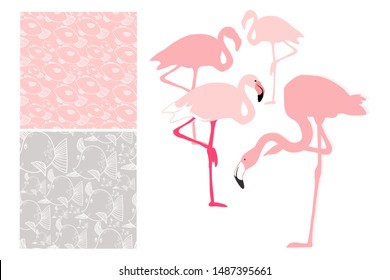 Pink Pelican and seamless patterns in gentle pastel colors, in vector