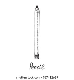 Pink pencil with inscription, hand drawn doodle sketch, isolated vector illustration