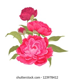 Pink peonies