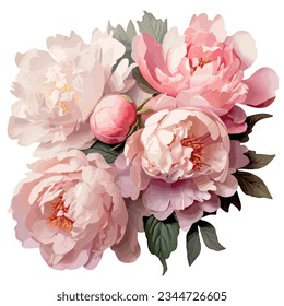 Pink peonies flowers isolated on white background. Vector illustration