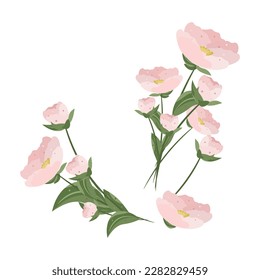 pink peonies flowers .vector plant illustration