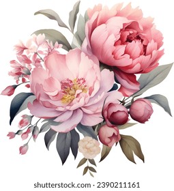 Pink Peonies Flowers watercolor illustration painting botanical art.