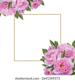 pink peonies with green leaves and buds and a gold frame on a white background.Close-up, isolated.The design element