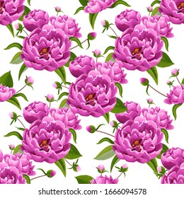 Pink peonies on white background. Abstract floral seamless pattern.   Flowers, buds, leaves in realistic style. Floral motifs. Vector.