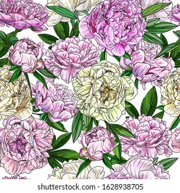 Pink peonies, seamless patter, full color sketch, hand drawn vector illustration
