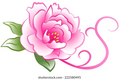 Pink peonies with swirl. EPS10