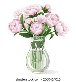 Pink peonies in vase on white background. Vector illustration.