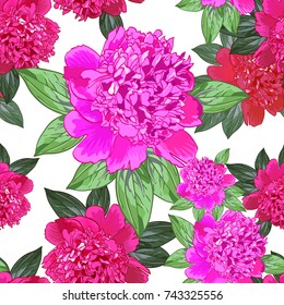 Pink peony. Bright Seamless pattern with beautiful realistic flowers on a white background.Green leaves.Vector illustration.Can be used for print  textile,fabric,wrapping paper,scrapbooking.
