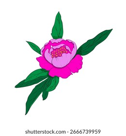 Broto de peônia rosa com folhas — ilustração floral vetorial em estilo de contorno