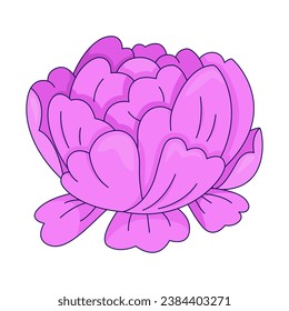 Objeto de dibujos animados lineales 2D de flor de peones rosados. Flor de verano de flor única flor de línea aislada elemento vector fondo blanco. Jardín primaveral floreciente nostalgia floral de color lisa ilustración plana
