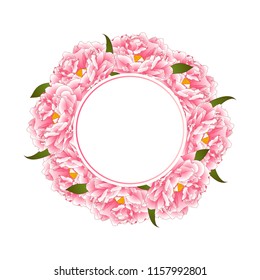 Pink Peony Flower Banner Wreath isolated on White Background. Vector Illustration.