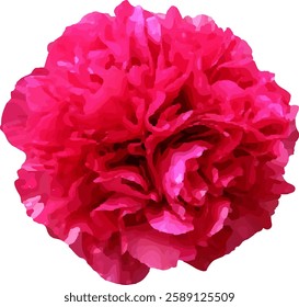  pink peony flower blooming vector18