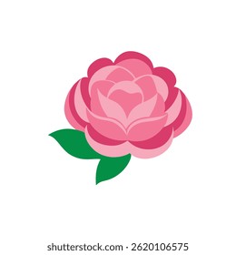 Pink peony flower drawing vector on white background