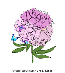 Pink peony flower outline with butterfly vector illustration graphics