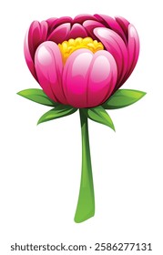 Pink peony flower with stem. Vector cartoon illustration