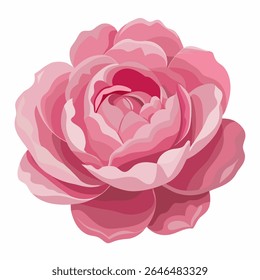 Pink Peony Flower Vector Illustration – Elegant Botanical Clipart for Wedding Decor, Romantic Floral Design, Vintage Bloom Art, Nature Garden Aesthetic, Peony Graphic EPS
