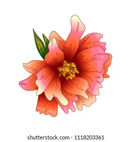 Pink peony flower in a vector style isolated. Full name of the plant: peony. Vector flower for background, texture, wrapper pattern, frame or border.