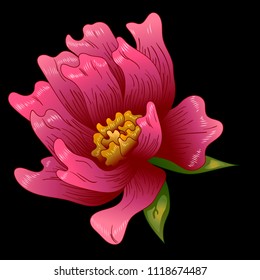 Pink peony flower in a vector style isolated. Full name of the plant: peony. Vector flower for background, texture, wrapper pattern, frame or border.